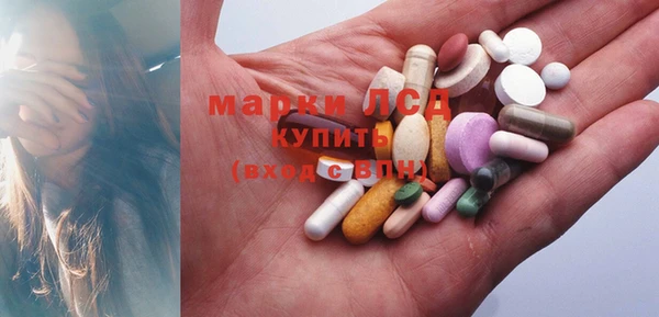 ГАЛЛЮЦИНОГЕННЫЕ ГРИБЫ Балабаново