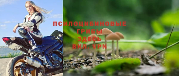 ГАЛЛЮЦИНОГЕННЫЕ ГРИБЫ Балабаново