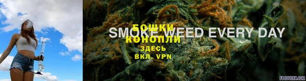 ГАЛЛЮЦИНОГЕННЫЕ ГРИБЫ Балабаново