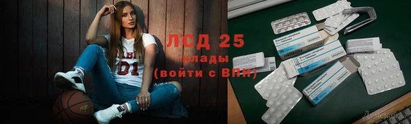 сатива Баксан