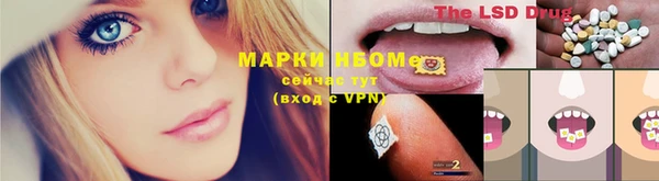 сатива Баксан