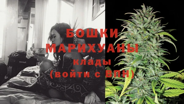 сатива Баксан