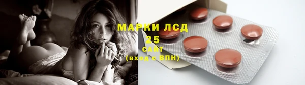сатива Баксан