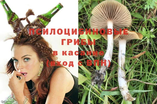 сатива Баксан