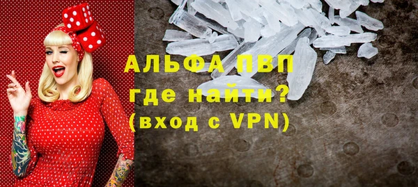 сатива Баксан