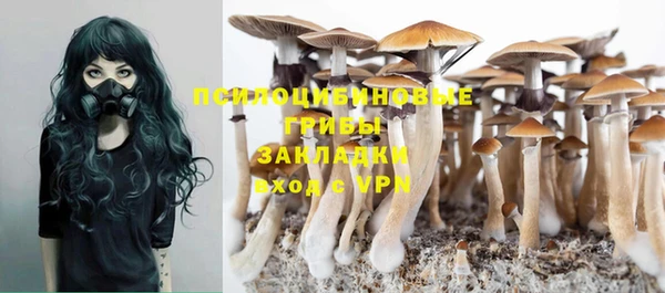 ГАЛЛЮЦИНОГЕННЫЕ ГРИБЫ Балабаново