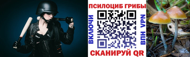 Псилоцибиновые грибы Magic Shrooms  Высоцк 